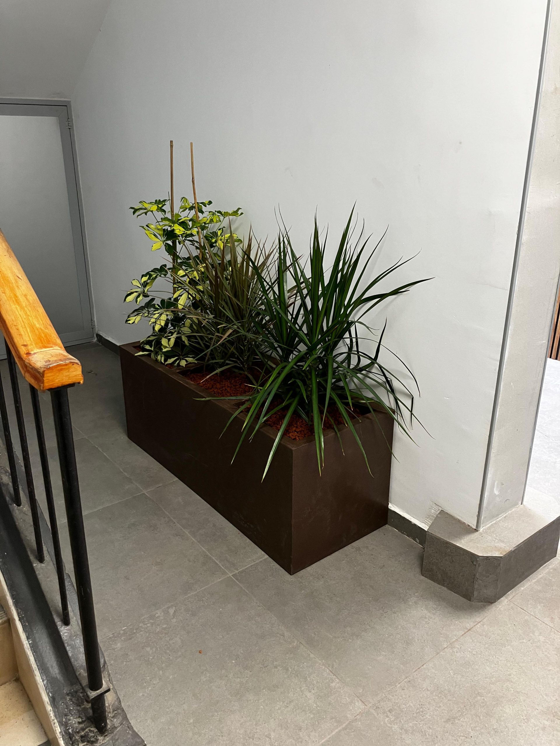 8d267e65-ba2d-45aa-9271-ac849bd51137